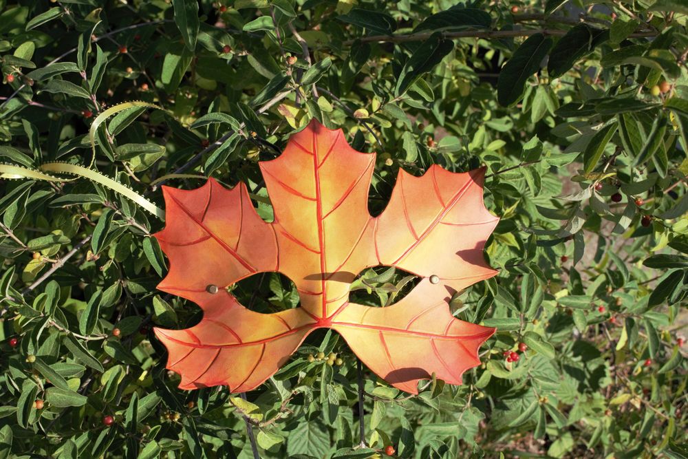 10% Sale on Ready to Ship Orange Leaf Mask
